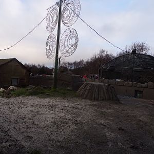 Future Meerkat enclosure under construction 1.1.23