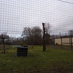 Lion enclosure 1.1.23