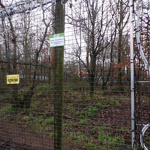 Arctic wolf enclosure 1.1.23