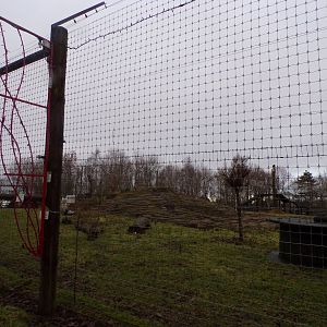 Lion enclosure 1.1.23