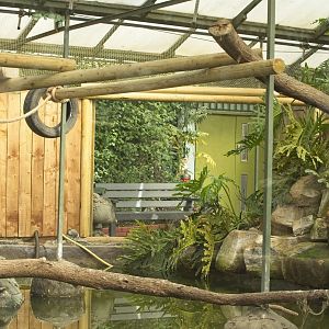 Vacant Marmoset exhibit above Tropical house pool. Left.
