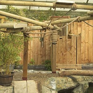 Vacant Marmoset exhibit above Tropical house pool. Right.