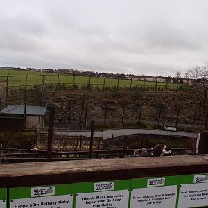 Snow leopard enclosure 1.1.23