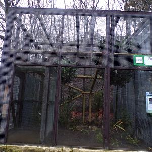 First Rusty spotted cat enclosure 1.1.23