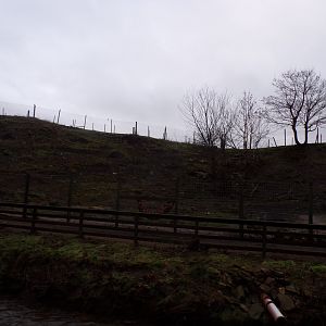 Barbary sheep enclosure 1.1.23