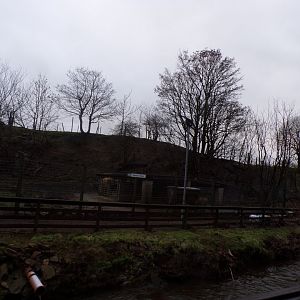 Barbary sheep enclosure 1.1.23