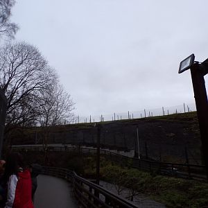 Barbary sheep enclosure 1.1.23