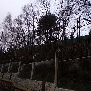 Red panda enclosure 1.1.23