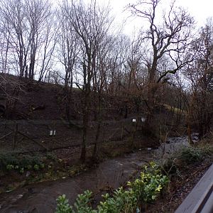 Muntjac deer enclosure 1.1.23