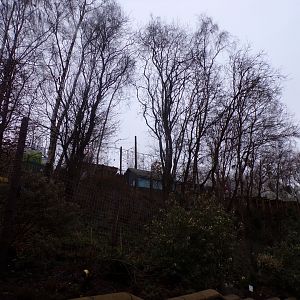 Raccoon enclosure 1.1.23