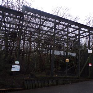 Scottish wildcat enclosure 1.1.23