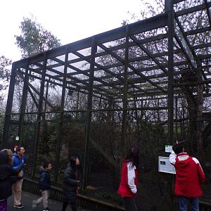 Scottish wildcat enclosure 1.1.23