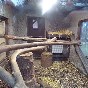 Fossa indoors 1.1.23