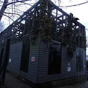 Lar gibbon enclosure 1.1.23