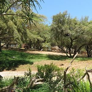 Mixed Bird/Hoofstock Exhibit