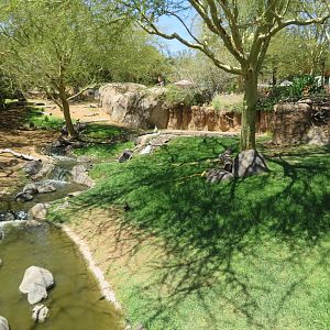 Mixed Bird/Hoofstock Exhibit