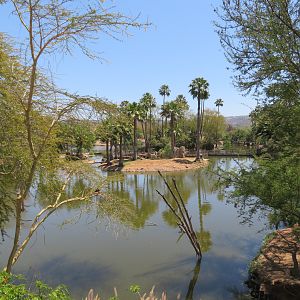 African Outpost Lake