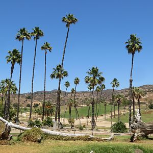 View of Field Exhibits