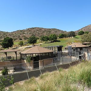 Field Exhibit Holding Pens