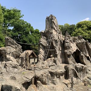 Japanese Macaque Exhibit
