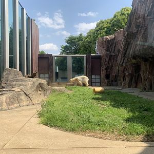 Small Polar Bear Exhibit