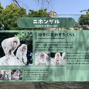 Japanese Macaque Sign