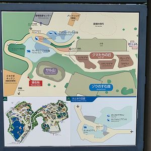 Detailed Map of Bear and Seal Area