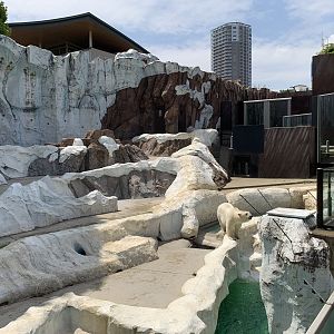 Big Polar Bear Exhibit