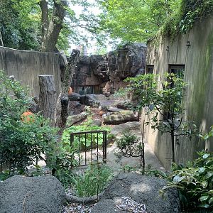 Hokkaido Brown Bear Exhibit