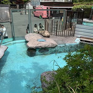 Seal Exhibit