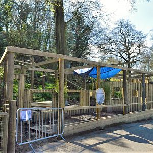 New red panda viewing area under construction