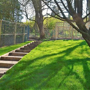 Extended Parma wallaby enclosure.