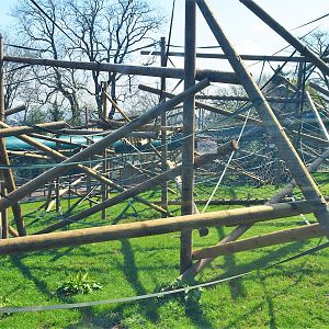 New orang enclosure climbing structure.