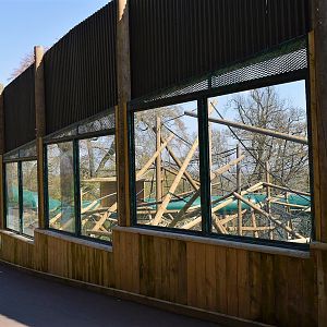 New orang enclosure viewing windows.