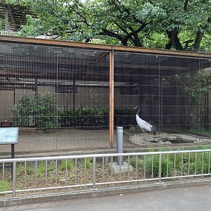 Black-necked Crane Enclosure