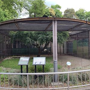 Red-crowned Crane Exhibit