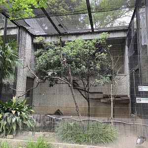 Oystercatcher and Go-Away-Bird Aviary