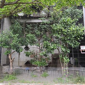 Crowned Hornbill Aviary