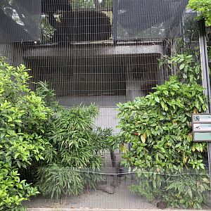 Pheasant and Weaver Aviary