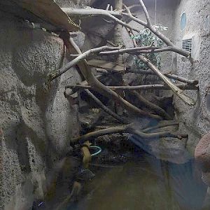 Rajske Ostrovy: Terrarium for water monitor and red-eared slider