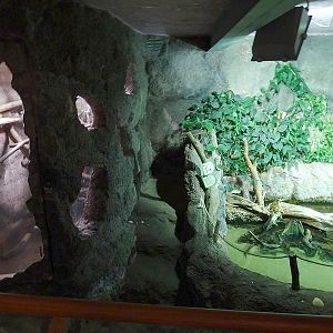 Rajske Ostrovy: Second floor overview