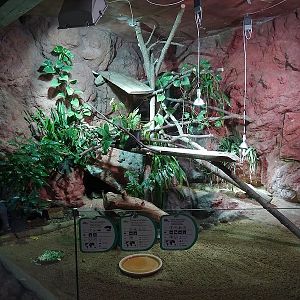 Rajske Ostrovy: Enclosure for Chinese water dragon, elongated tortoise, annam leaf turtle