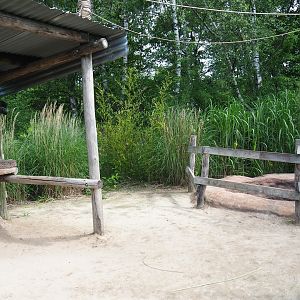Coltan mine theming and education area near gorilla/mangabey island, 2022-06-12