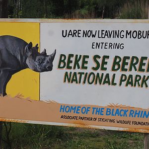 Black rhinoceros area theming signage, 2022-06-12