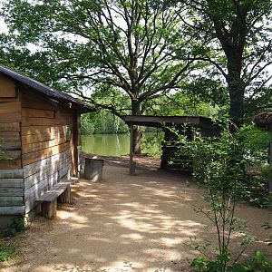 Poachers' camp theming near black rhinoceros exhibit, 2022-06-12