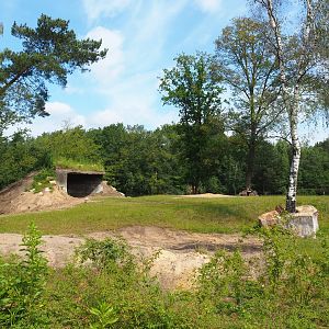 First Eastern black rhinoceros exhibit, 2022-06-12