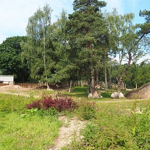 First Eastern black rhinoceros exhibit, 2022-06-12