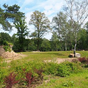 First Eastern black rhinoceros exhibit, 2022-06-12