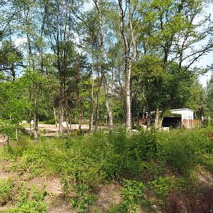 Second Eastern black rhinoceros exhibit, 2022-06-12
