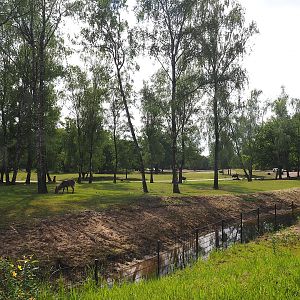 Multi-hectare mixed savanna exhibit seen from the walking safari, 2022-06-12